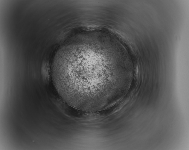 X0000093171346200710101205