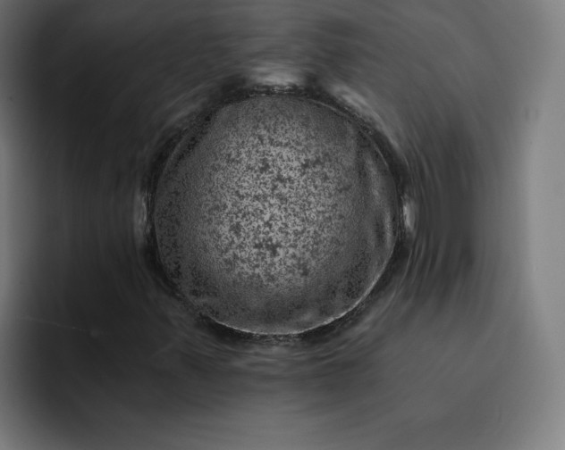 X0000093171347200710101205