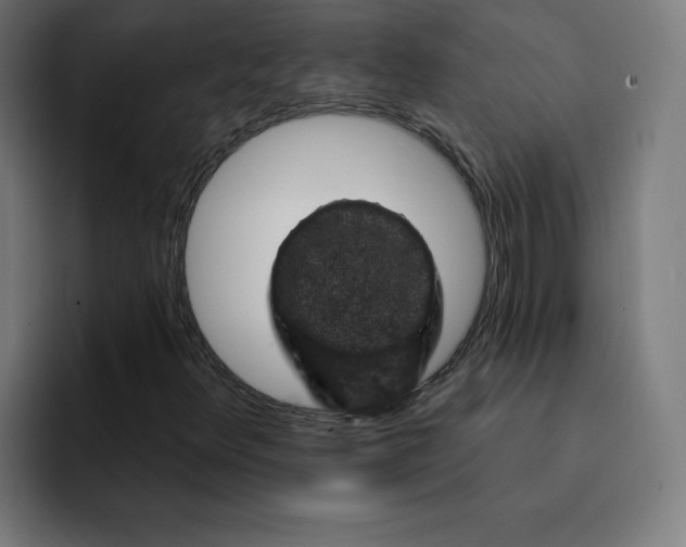 X0000093171348200710101205