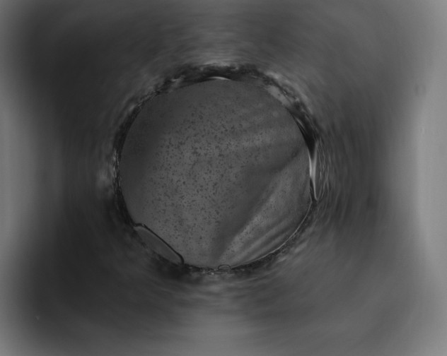 X0000093171349200710101205
