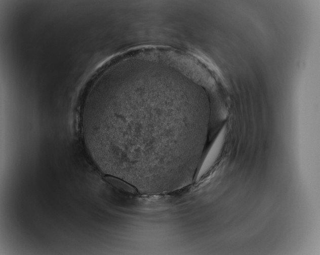 X0000093171352200710101205