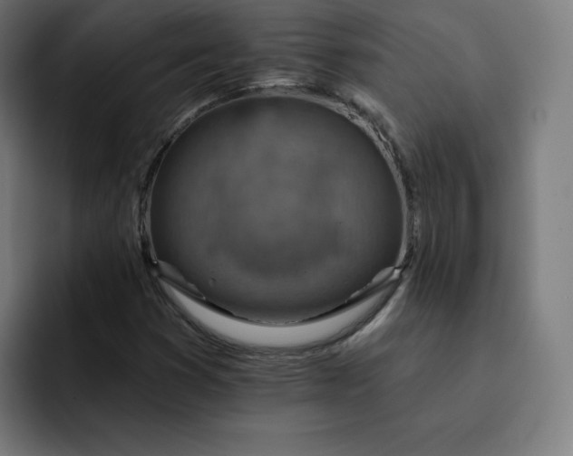 X0000093171353200710101205
