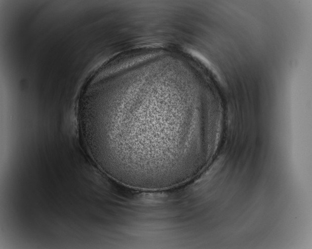 X0000093171354200710101205