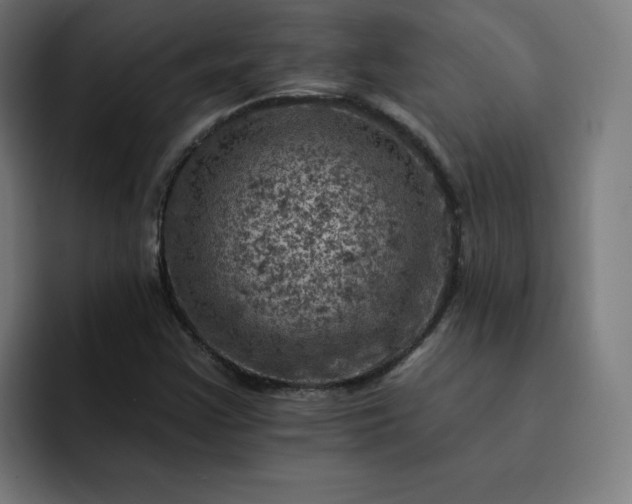 X0000093171355200710101205