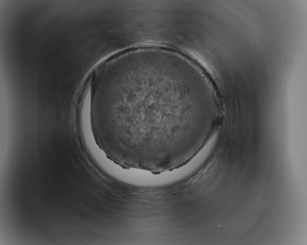 X0000093171356200710101205