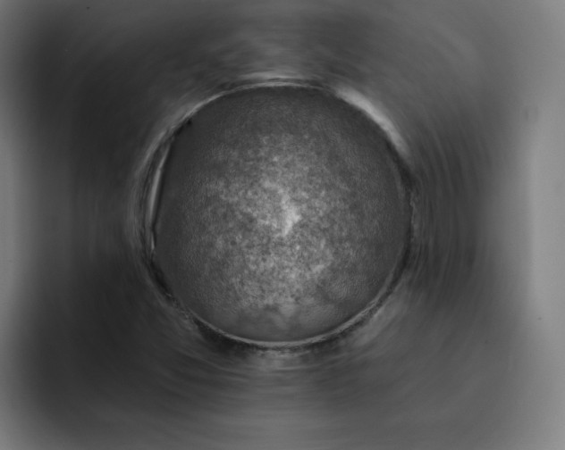 X0000093171357200710101205