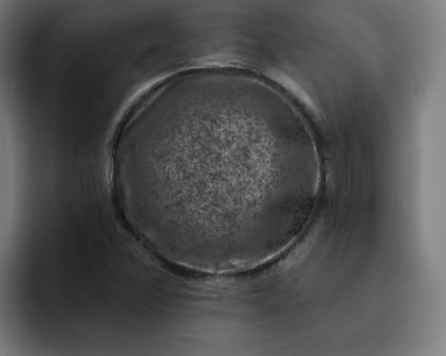 X0000093171358200710101205