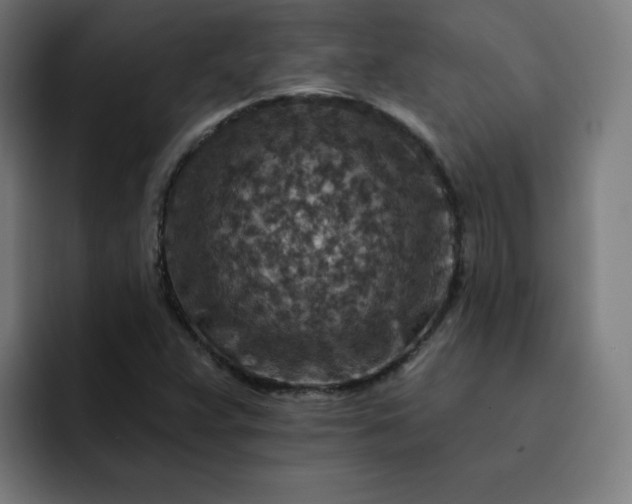 X0000093171359200710101205