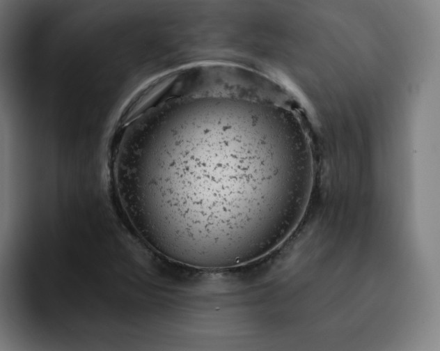 X0000093171360200710101205