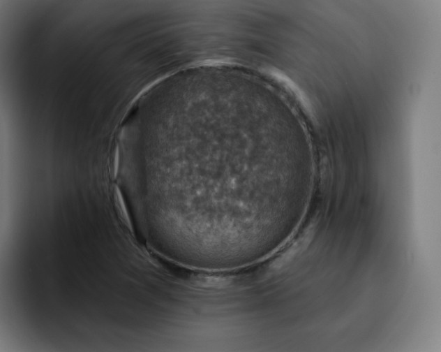 X0000093171361200710101205