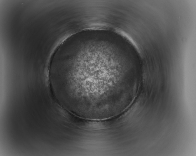 X0000093171362200710101205
