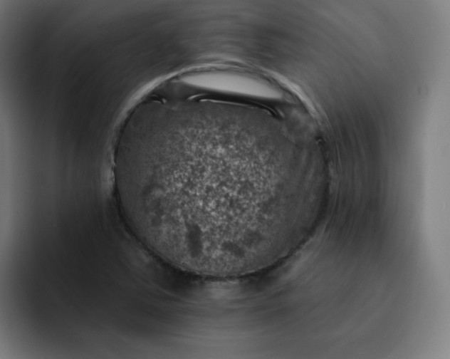 X0000093171363200710101205