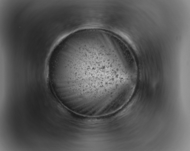 X0000093171366200710101204