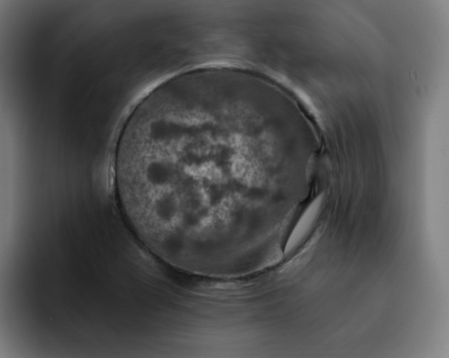 X0000093171367200710101204