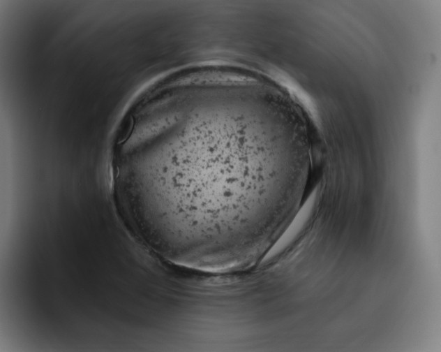 X0000093171368200710101204