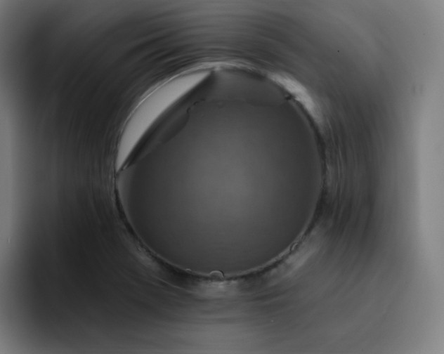 X0000093171369200710101204