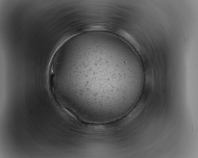 X0000093171370200710101204
