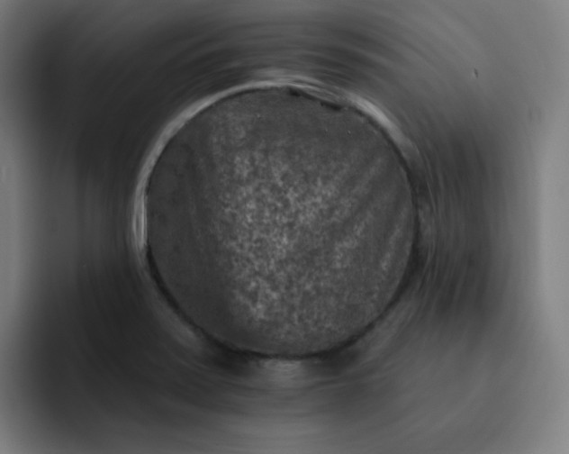 X0000093171371200710101204