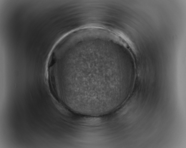 X0000093171372200710101204