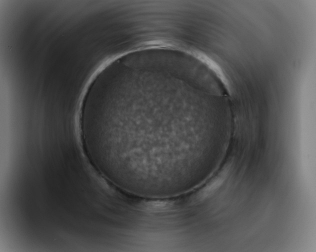 X0000093171373200710101204