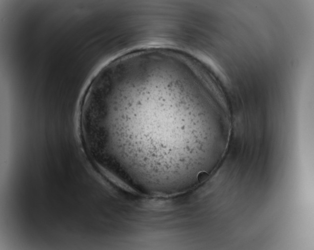X0000093171374200710101204