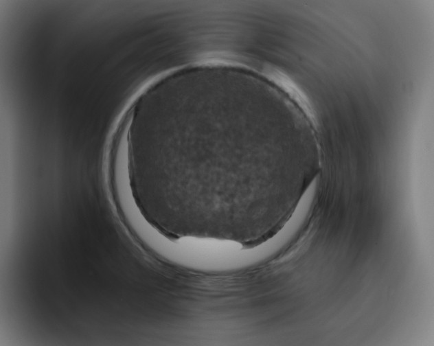 X0000093171376200710101204