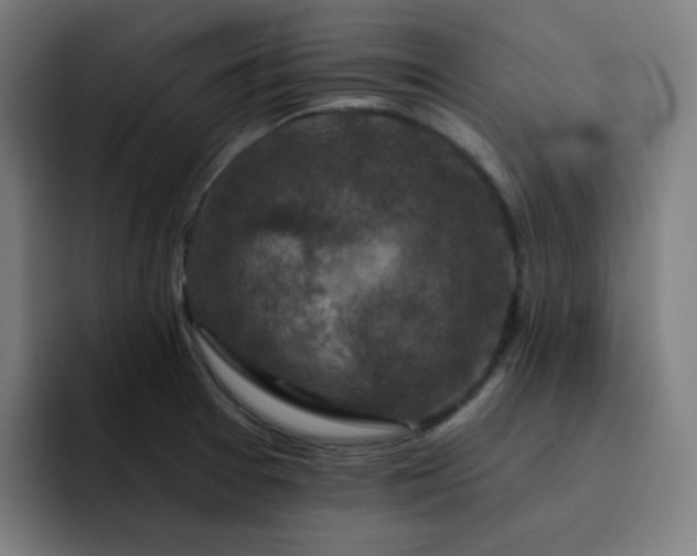 X0000093171377200710101204