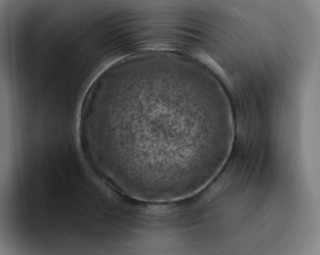 X0000093171378200710101204