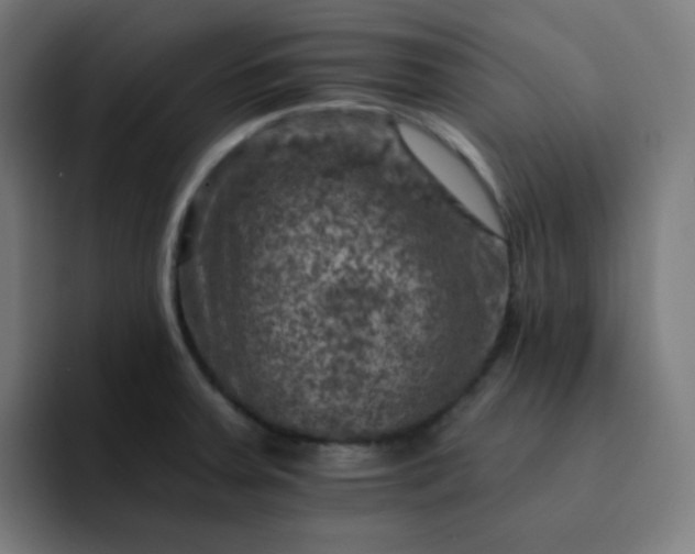X0000093171379200710101204
