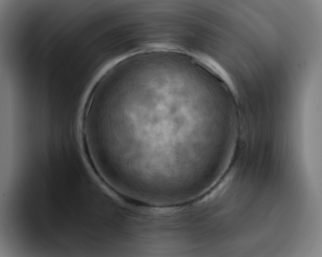 X0000093171381200710101204