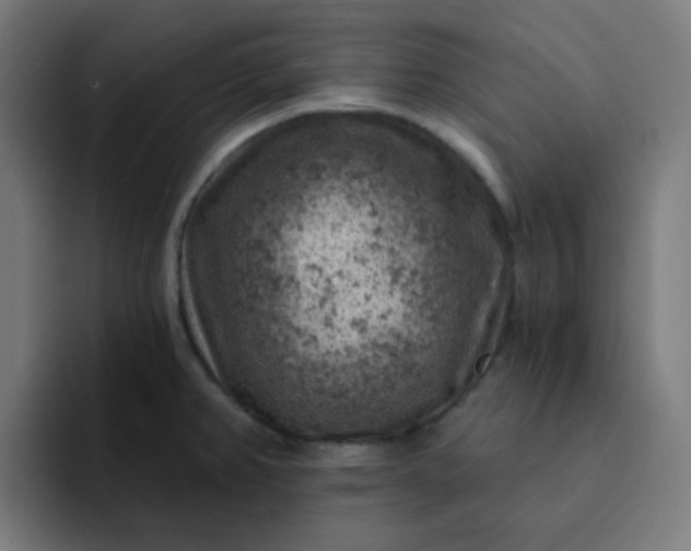 X0000093171382200710101204