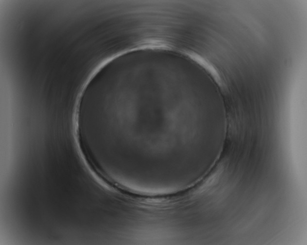X0000093171383200710101204