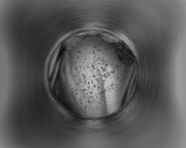 X0000093171384200710101204