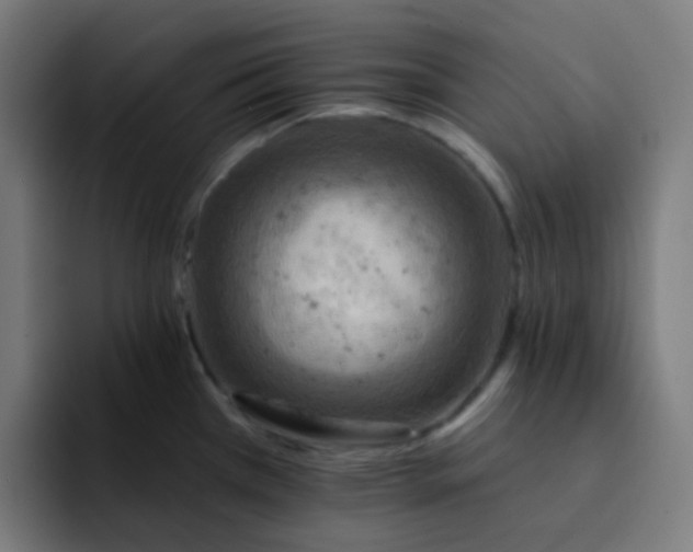 X0000093171385200710101204