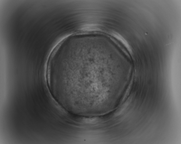X0000093171386200710101204