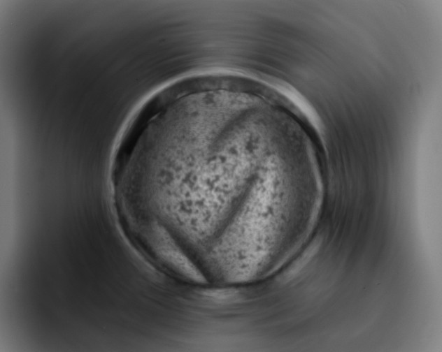 X0000093171388200710101204