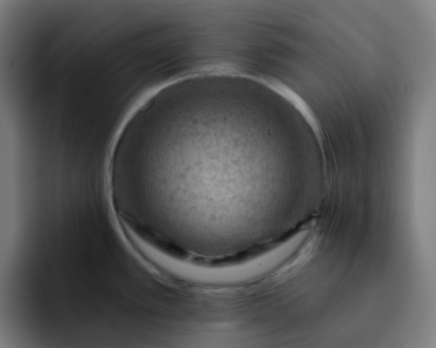 X0000093171389200710101204