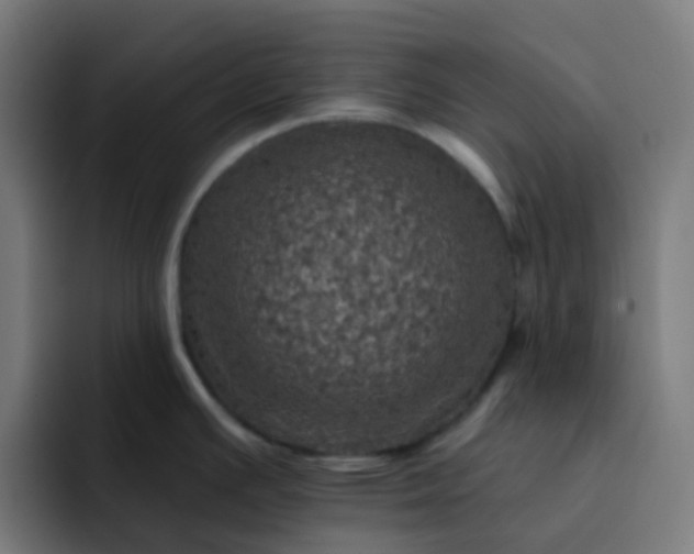 X0000093171391200710101204