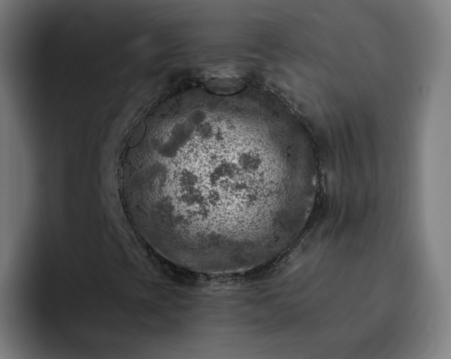 X0000093171393200710101204