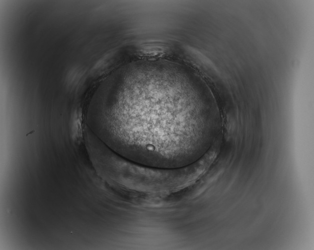 X0000093171394200710101204