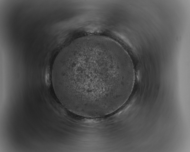 X0000093171396200710101204