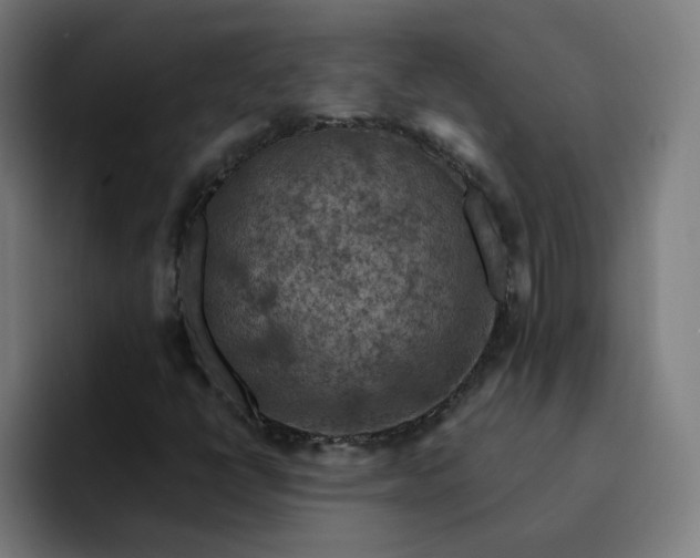 X0000093171398200710101204