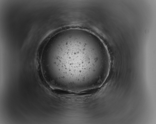 X0000093171400200710101204