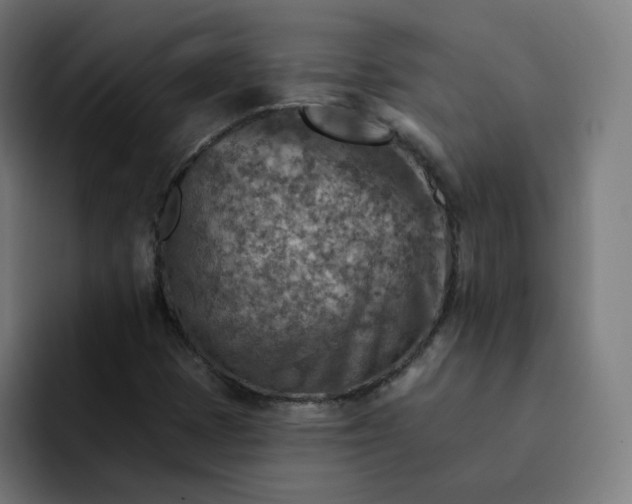 X0000093171401200710101204