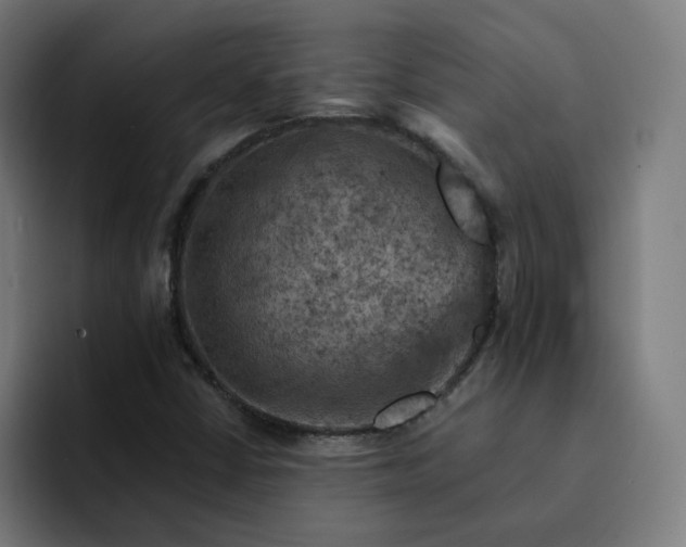 X0000093171402200710101204