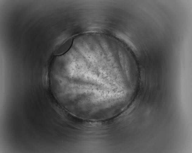 X0000093171403200710101204