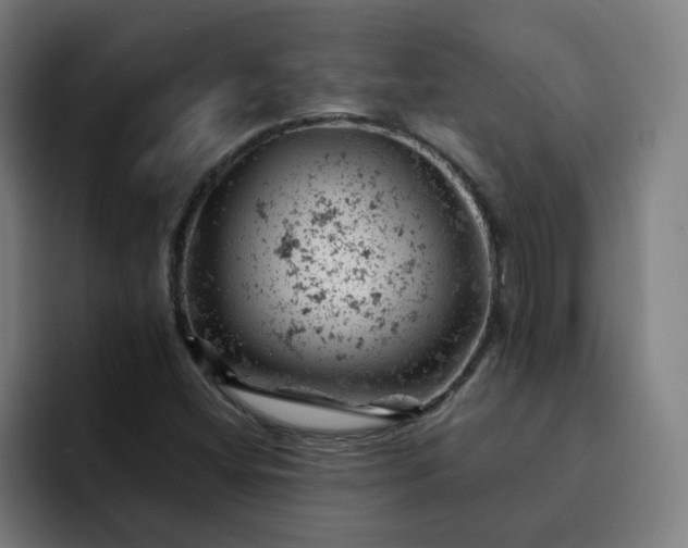 X0000093171404200710101204