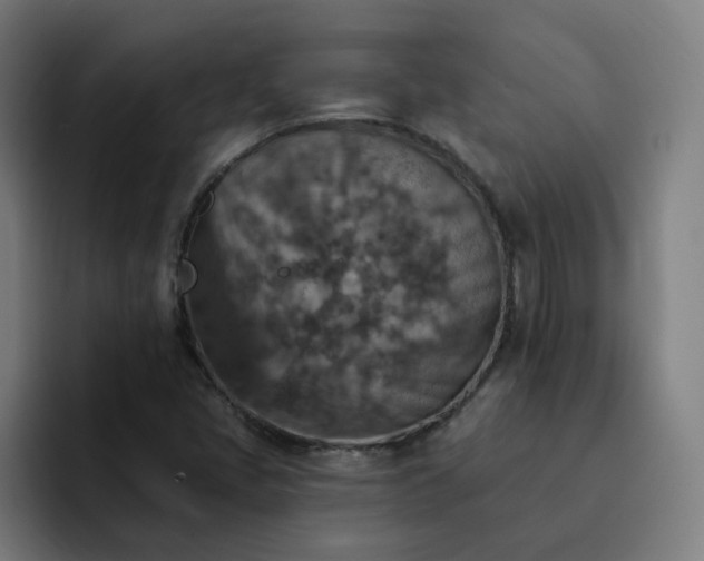 X0000093171405200710101204