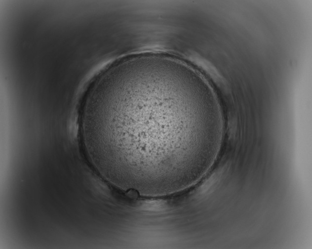 X0000093171406200710101204