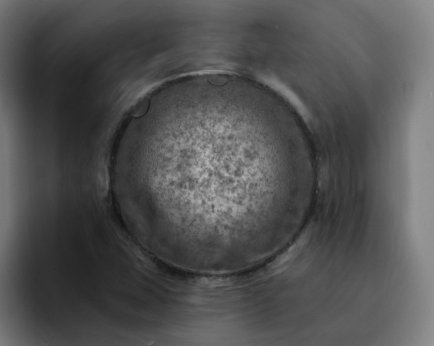 X0000093171407200710101204
